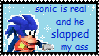 sonic is real and he slapped my ass